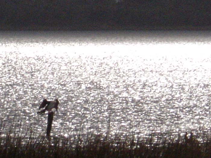 DSC01185