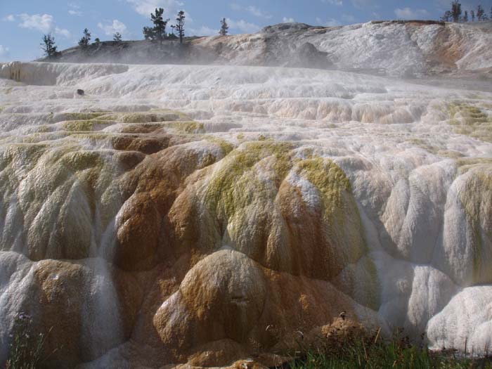 DSC03696
