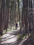 DSC03755a