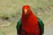 6IMGP0770
