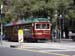 7DSC05248
