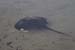 IMGP0391